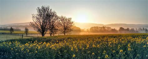 Sonnenaufgang Im Frühling Foto And Bild Landschaft Äcker Felder