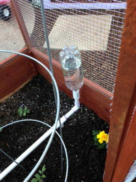 Self Watering Olla System Watering Raised Garden Beds Garden