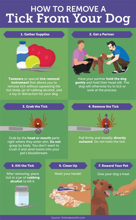 Spread your dog's fur, then grasp the tick as close to the skin as possible. Protecting Your Pet From Ticks and Fleas - AMAC - The ...