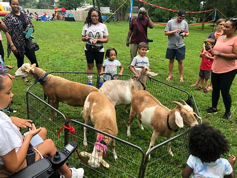 Petting Zoo For Parties And Birthdays Northern And Central Nj New Joy