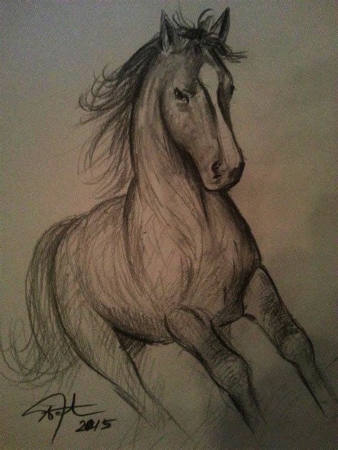 Wild Horse Drawing By Afrim1968 On Deviantart