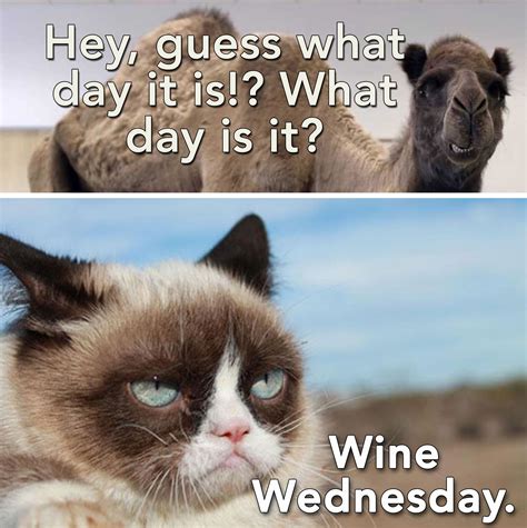 DrinkStack - The Online Beverage Magazine | Funny wednesday memes