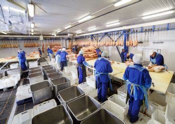 The productive enterprises concerned with food processing. How COVID-19 is Affecting the Food Processing Industry