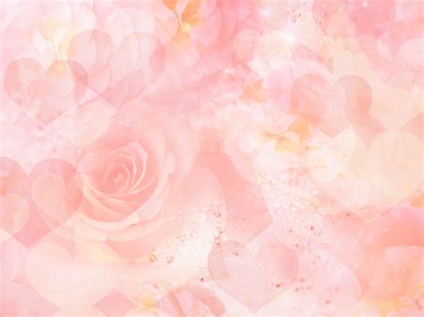 Free Download Pink Roses Background Viewing Gallery 1600x1200 For