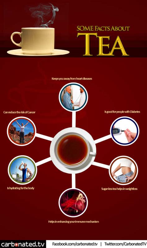 Interesting Facts About Tea Visually