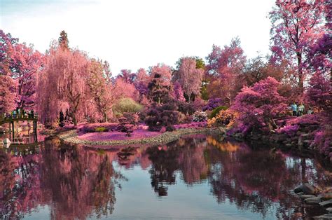 Kafere Wroclaw Poland Japanese Garden By Benefik Beautiful