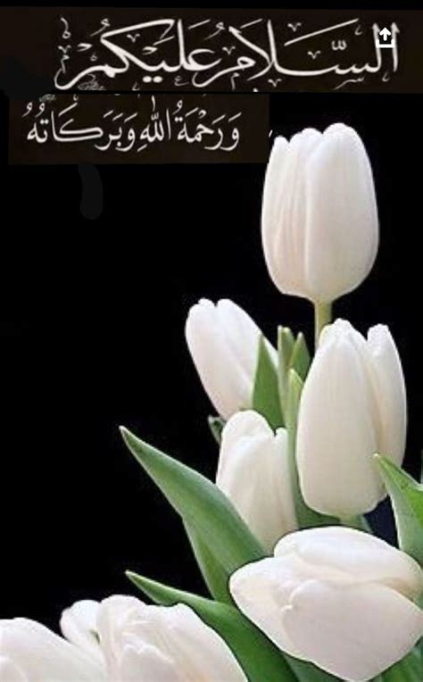 Islamic good morning dua in english. Pin by shaheen perwaz on Islamic Small & Large Images ...