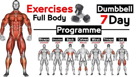 Full Body Home Dumbbell Workout Squats Chest Triceps Biceps Back