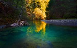 Nature, River, Forest, Water, Trees, Yellow, Green, Calm