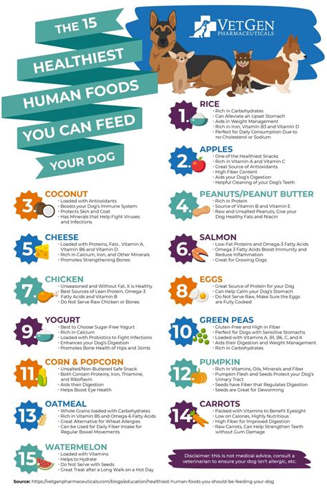 Heres What The Healthiest Human Foods Are For Your Dog Daily Infographic