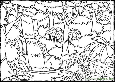 Gallery of rainforest coloring pages. Rainforest coloring pages to download and print for free