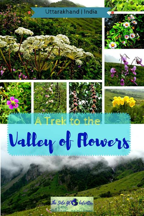 A Trek To Valley Of Flowers An Adventurous Hike To The Paradise
