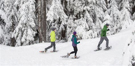 Where To Try Snowshoeing Near Vancouver 5 Beginner Friendly Places To