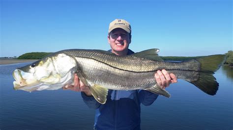 5 Snook Fishing Blogs That Will Make You A Better Snook Angler