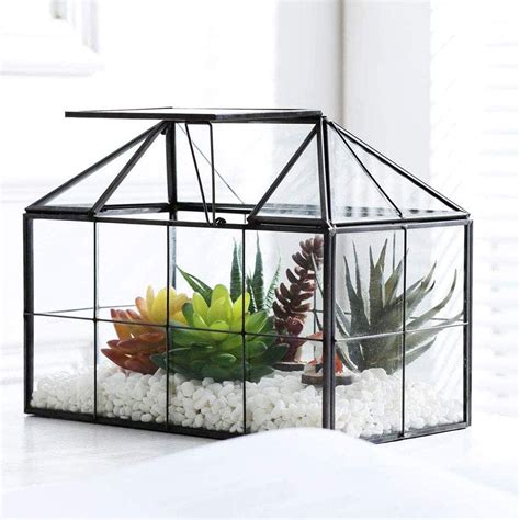 You can use these greenhouse plans to build a traditional style greenhouse with fiberglass walls. Purzest Glass Terrarium, House Shape Geometric Succulent ...