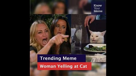 Know Your Meme 101 Woman Yelling At A Cat Youtube
