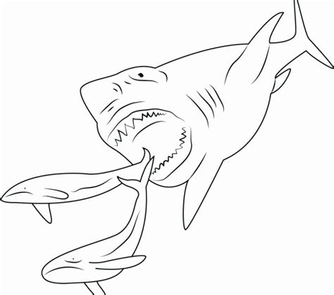 Scary Shark Coloring Pages Best Of Megalodon Coloring Pictures