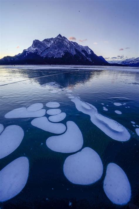Everything You Must Know Before Visiting Abraham Lake Ice Bubbles