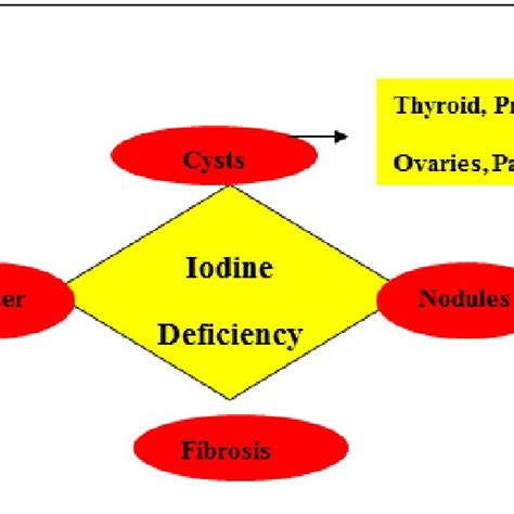 Diseases Linked The Iodine Deficiency Download Scientific Diagram