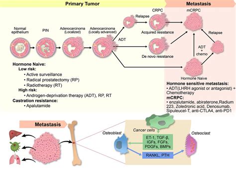 Genetics And Biology Of Prostate Cancer