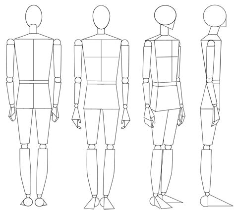 Drawing The Human Figure Angles And Proportions Hubpages