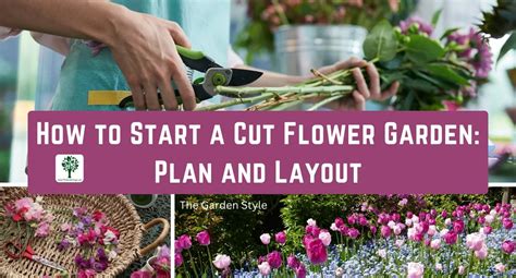 How To Start A Cut Flower Garden Plan And Layout The Garden Style