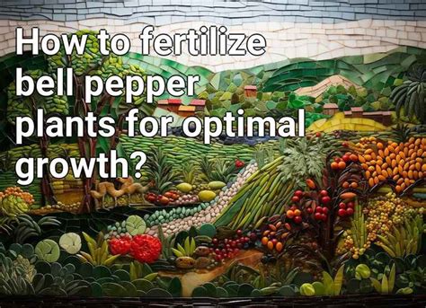 How To Fertilize Bell Pepper Plants For Optimal Growth Agriculture Gov Capital