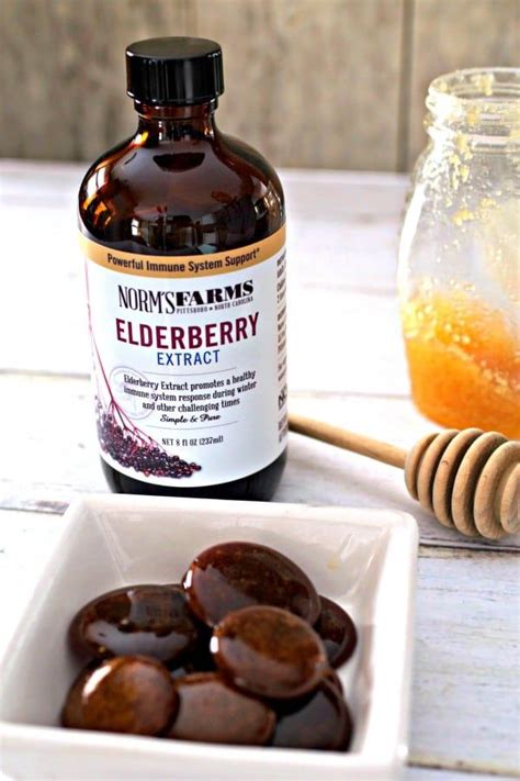 To do this, boil 2/3 cup of dried organic elderberries in 3 ½ cups of water. Homemade Elderberry Cough Drops | Recipe | Elderberry ...