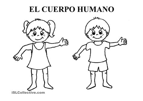 Infantil Cuerpo Humano Dibujo Bazaarstory