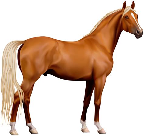 Transparent Horse Png Clipart Gallery Yopriceville High Quality