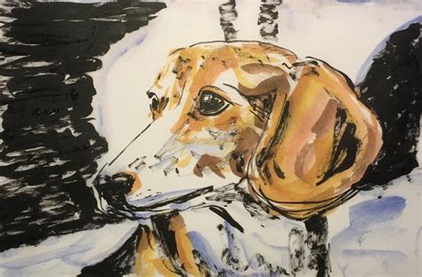 Wde May The Beagle Wetcanvas Online Living For Artists