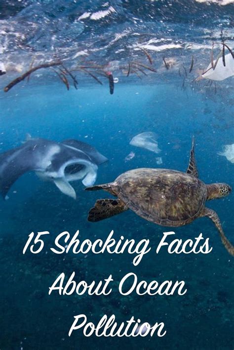 15 Shocking Facts About Ocean Pollution Ocean Pollution Ocean