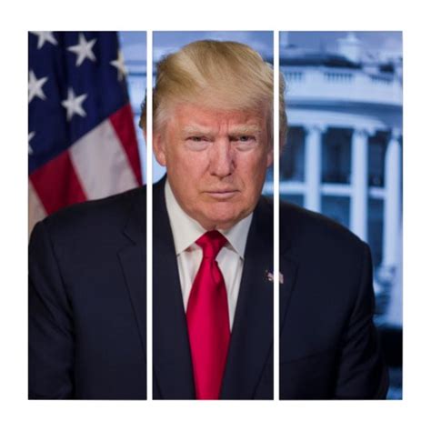 Donald Trump Official Presidential Portrait Triptych
