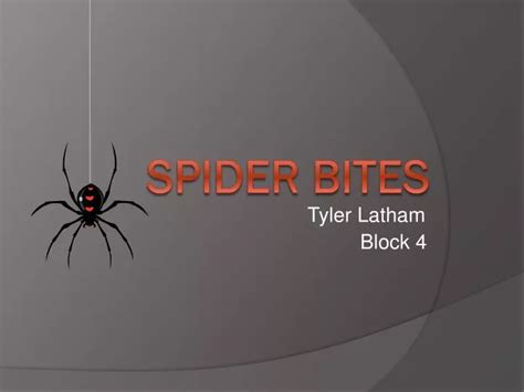 Ppt Spider Bites Powerpoint Presentation Free Download Id1875517
