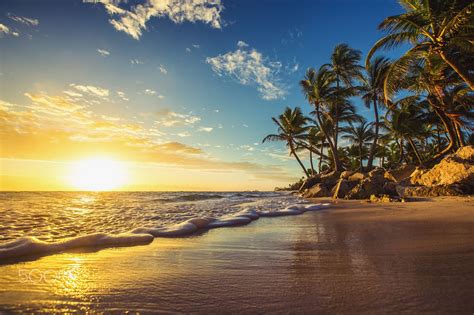 Landscape Of Paradise Tropical Island Beach Sunrise Shot Palm Trees