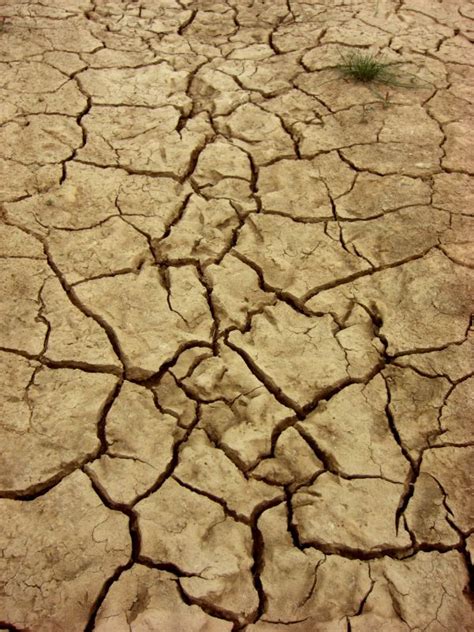 Free Images Ground Texture Floor Cobblestone Asphalt Summer Dry