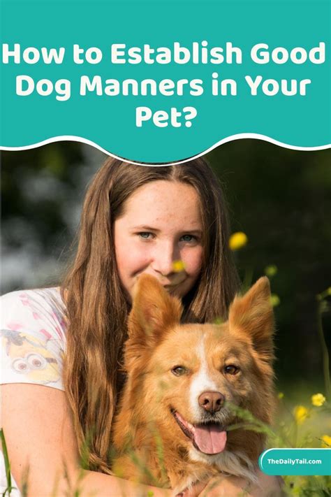 How To Establish Good Dog Manners In Your Pet Pets Best Dogs Dog