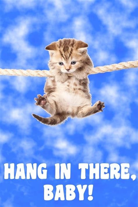 Hang In There Baby Literary Arts Blogspace