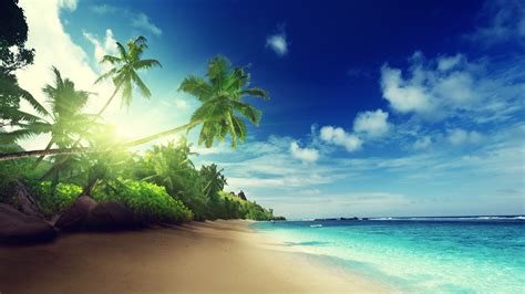 X Emerald Vacation Paradise Beach Tropical Sand Cloud Palm Ocean Coast Sea