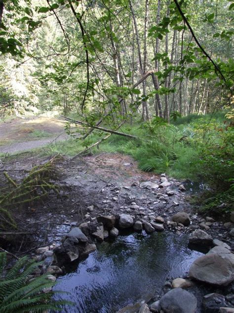 Lolo national forest is a national forest located in western montana, united states with the western boundary being the state of idaho. Olympic Hot Springs & South | The Road Chose Me