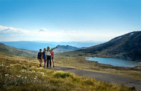Top 10 Things To Do In Thredbo In Summer Boali Lodge