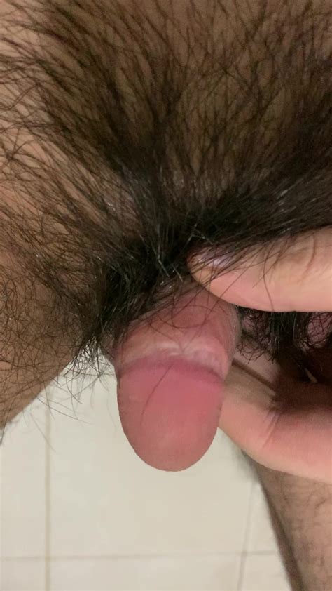 When My Pubic Hair Longer Than My Small Asian Penis
