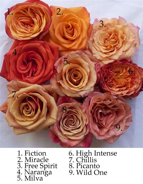 The Orange Rose Study Flirty Fleurs The Florist Blog Inspiration