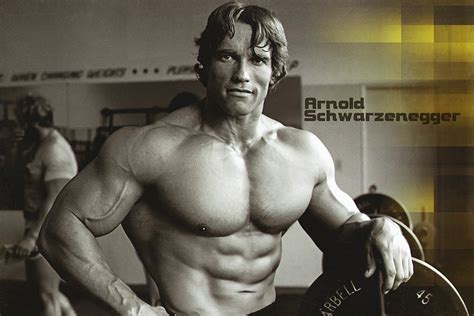 Universe when he was 20 • arnold schwarzenegger's first big. Arnold Schwarzenegger Young Fan Art Poster - My Hot Posters