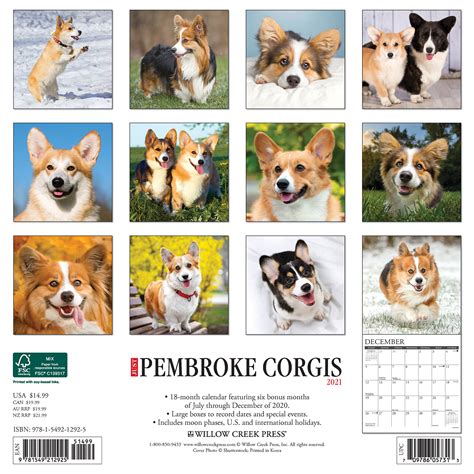 Pembroke Corgis 2021 Wall Calendar