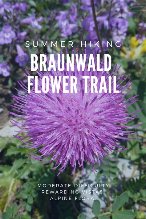 Heres A Scenic Hike In Braunwald During Summer 🥾 Summer Hike Hiking