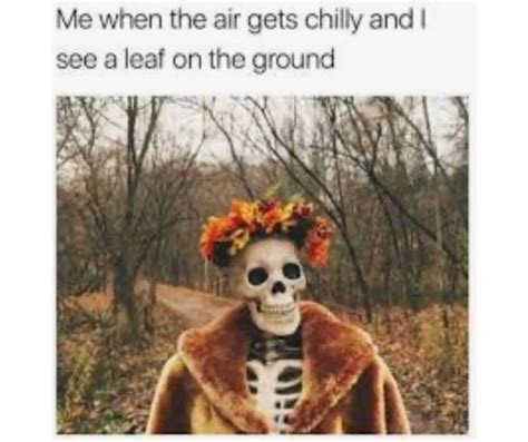 23 Autumn Equinox Memes Youll Fall In Love With Fall Memes Fall Memes