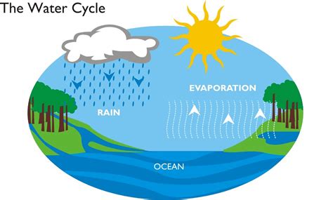 The Water Cycle Ks2 The Water Cycle Ks2