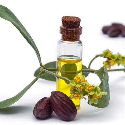 The Power Of Jojoba Oil For Your Skin