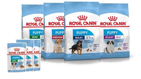 Royal Canin Maxi Puppy Food Feeding Chart Puppy And Pets